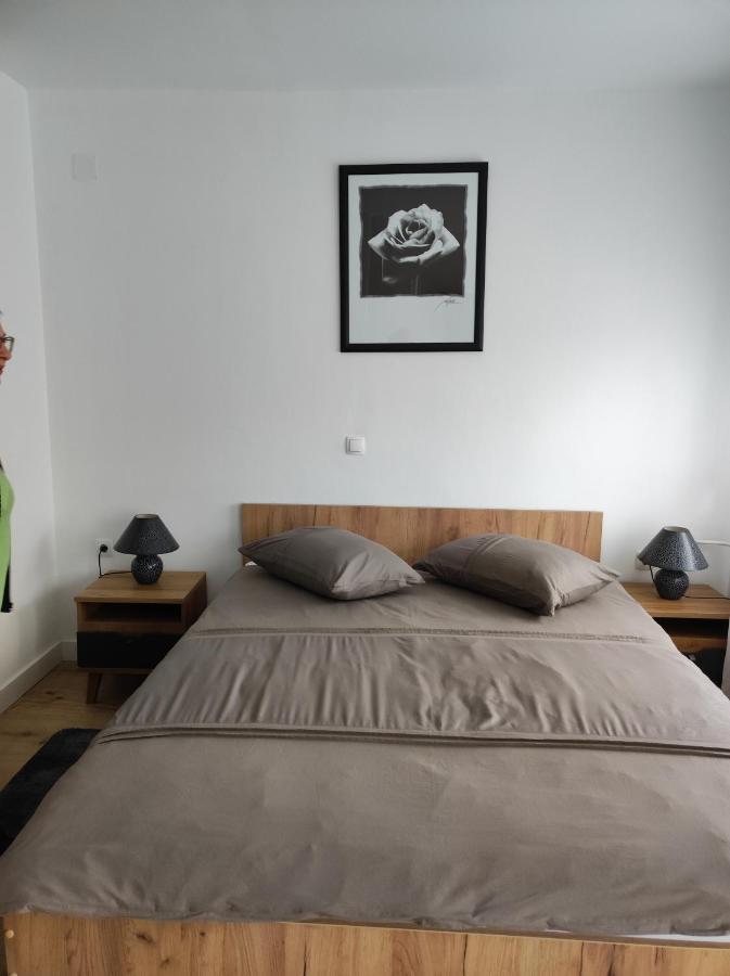 דירות Plitvička Jezera Studio Apartman Rose מראה חיצוני תמונה